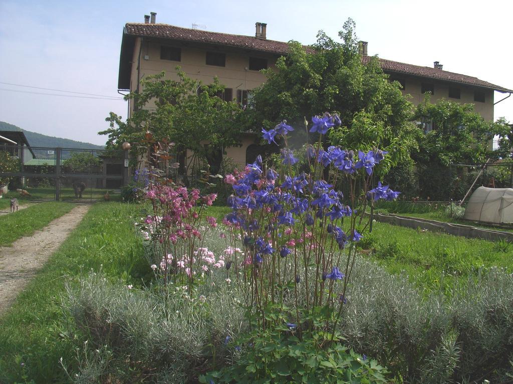 U Tej Bed & Breakfast Cumiana Exterior photo