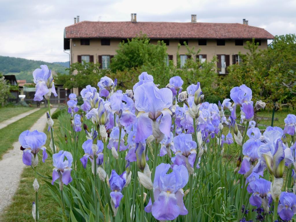U Tej Bed & Breakfast Cumiana Exterior photo